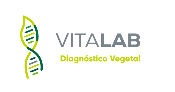 (c) Vitalab.cl